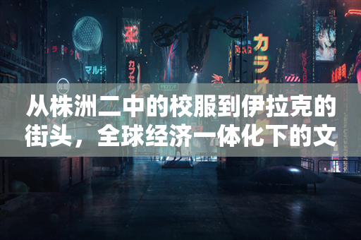 从株洲二中的校服到伊拉克的街头，全球经济一体化下的文化碰撞与经济趋势