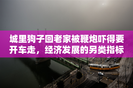 城里狗子回老家被鞭炮吓得要开车走，经济发展的另类指标？