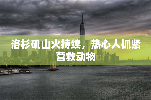 洛杉矶山火持续，热心人抓紧营救动物