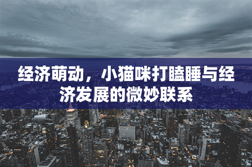 经济萌动，小猫咪打瞌睡与经济发展的微妙联系