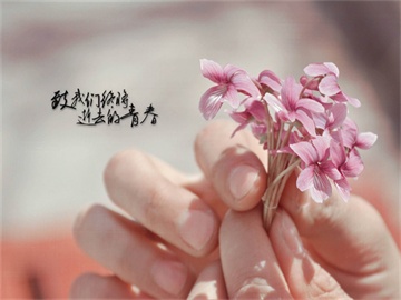 唐僧热潮，房产热销背后的故事