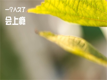 盐城逆袭宿迁，登顶苏超第一荣耀之路！
