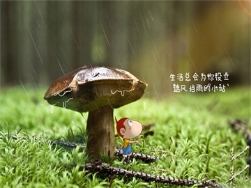 中国与中亚，精神共鸣的篇章